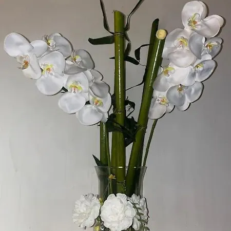 : Beau En Plein Centre Apartment