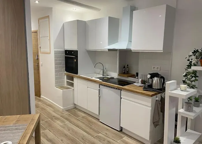 Daire : Beau En Plein Centre Antibes