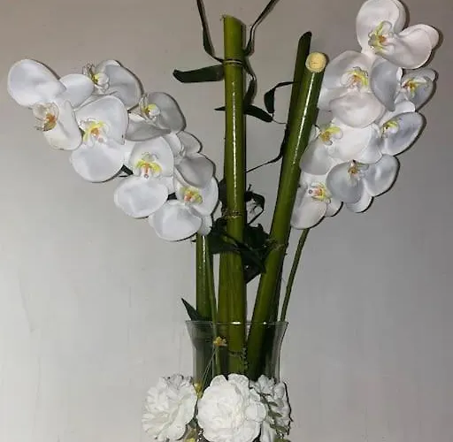 : Beau En Plein Centre Appartamento